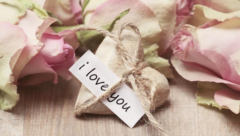 Loving-Kindness and Compassion